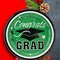 25 Count Green Congrats Grad Paper Dessert Plates Disposable Graduation Party Supplies